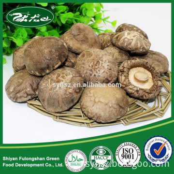 100% Natural Organic Bulk Dried Mushrooms for Sale